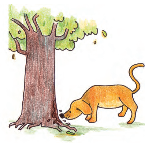 एक कुत्ता एक पेड़ की छाल के पास के क्षेत्र को सूंघ रहा है।