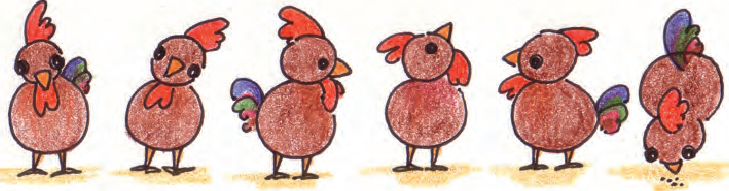 पहली छवि में मुर्गी जैसी चिड़िया सीधी दिख रही है। दूसरी छवि उसी पक्षी को दिखाती है जिसका सिर दाईं ओर थोड़ा झुका हुआ है। तीसरी छवि में वही पक्षी दाईं ओर देख रहा है और चौथी छवि एक ही पक्षी को ऊपर की ओर देख रही है, पांचवीं छवि में वही पक्षी बाईं ओर देख रहा है और अंतिम छवि उसी पक्षी को नीचे की ओर देख रही है।