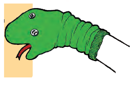 हाथ पर जुराब पहन कर, उस पर बटन से आंखे बना दी है और एक पट्टी से जीभ बना दी है।  यह सांप की तरह दिख रहा है।