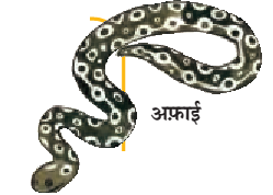 अफाई