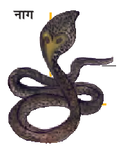नाग