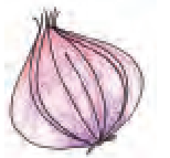 एक प्याज।