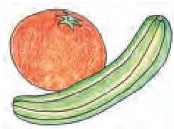 एक टमाटर और एक खीरा।