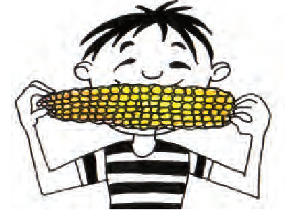 भुट्टा खाता एक बच्चा ,  मोटे तौर पर भुट्टा  बेलनाकार आकार का होता है, जिसके चारों तरफ कॉर्न होते हैं।