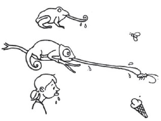 पहली छवि में एक चींटी को देख, मैंडक की जीभ बाहर आ रही है और उसके मुह में पानी आ गया। दूसरी छवि में एक गिलहरी ने अपनी जीभ से चींटी को अपनी ओर खींच लिया। तीसरी छवि में एक लड़की क मुह में  आइस क्रीम  देख कर पानी आ रहा है।