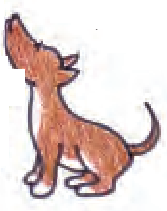 एक कुत्ता।