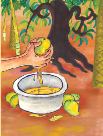 एक बर्तन में आम का गूदा निचोड़ता एक आदमी। कुछ आम बर्तन के पास पड़े हैं। 