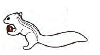 एक खरगोश  के हाथ में एक बीज।