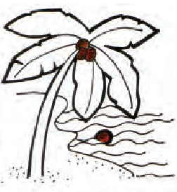 एक पेड़ से एक फल  का बीज नदी में गिर गया।