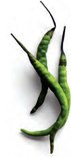 कुछ हरी मिर्चें।