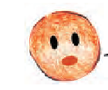 एक मसूर दाल के दाने पर आंखे और मुह बना है।