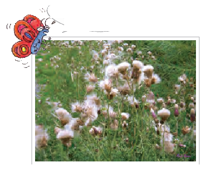 कुछ पौधे  हैं और हवा की मदद से पौधों  के बीज दूर उड़ रहे हैं।