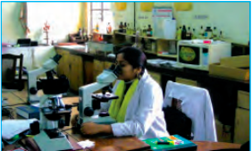 लैब में बैठी  डॉक्टर माइक्रोस्कोप के नीचे स्लाइड देख रही  है।