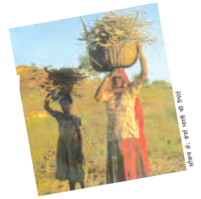 दो औरतें सर पर टोकरियों में सूखी लकड़ियाँ इककट्ठे किए जा रही हैं।