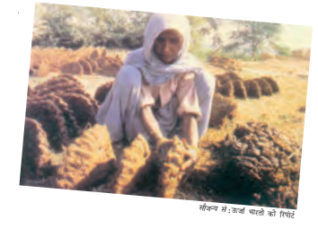 गांव में गाय के गोबर का उपला बनाती महिला।