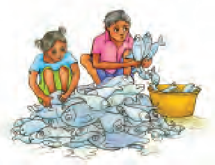 छवि एक लड़की और एक लड़के को बेचने के लिए एक बाल्टी में मछली इकट्ठा करते हुए दिखाती है। 