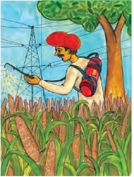एक आदमी फसलों को पानी दे रहा है।