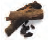 एक पेड़ की टूटी हुई टहनी।