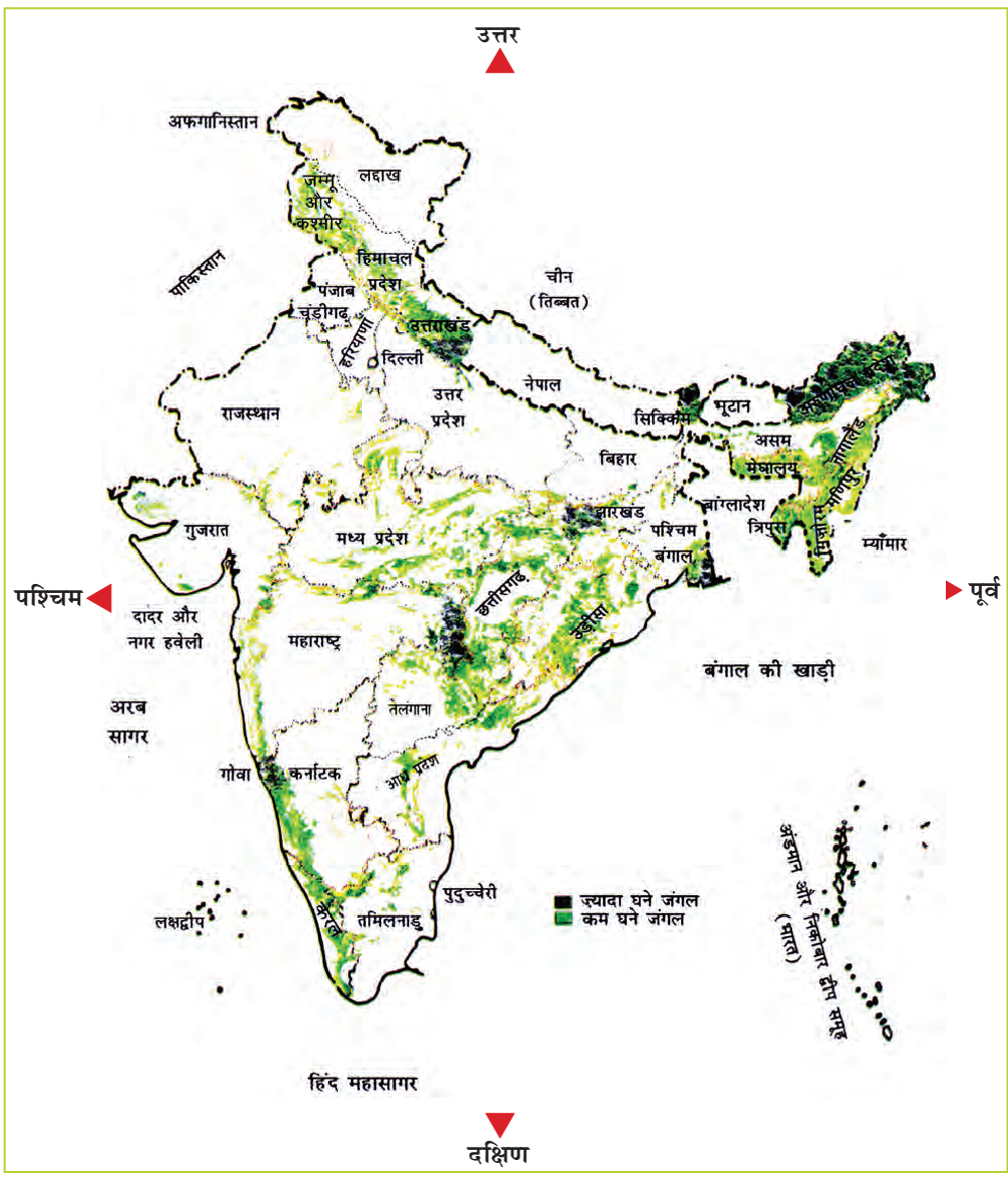 भारत का नक्शा जिसमे ज्यादा घने  जंगल और कम घने जंगल दिखाए हैं। नक्शे के हिसाब से उत्तराखंड के कुछ हिस्से, सिक्किम के कुछ हिस्से, बंगाल, छत्तीसगढ़, अरुणाचल प्रदेश औ कर्नाटक के कुछ हिस्से  में घने जंगल हैं।  जब की कम ghane जंगल वाले  हिस्से हैं जम्मू कश्मीर, हिमाचल प्रदेश, नागालैंड, त्रिपुरा, मेघालय, गुजरात, केरल, तमिल नाडु, आंध्र प्रदेश, उड़ीसा , मध्य प्रदेश आदि।