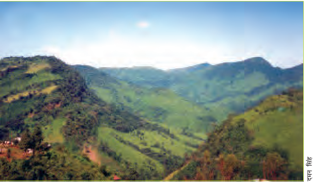 हरे भरे पहाड़।