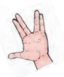 हाथ के बीच उँगलियाँ का वी बना है। दो उंगलियाँ वी के एक तरफ हैं और दो दूसरी तरफ।