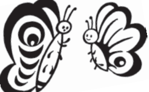 दो तितलियाँ।