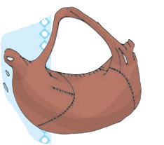 चमड़े का झोला