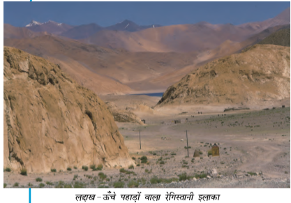 सूखी बंजर भूमि जिसमें बालू के पहाड़ हों।