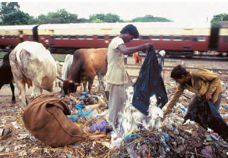 एक रेलवे स्टेशन के पास कुछ पुरुष अपने बड़े बैग से कचरा खाली कर रहे हैं और गायें भी वहां से खाने की कोशिश कर रही हैं। पीछे एक रेल चल रही है।'  