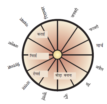 एक वृत्त को बारह भागों में बांटा गया है, जिसमें जनवरी से दिसंबर तक के महीनों को दर्शाया गया है। मई और जून के कॉलम में बीड़ा बनाना  लिखा है, रोपाई जुलाई और अगस्त में लिखी  है, निराई सितंबर में अक्टूबर में और कटाई नवंबर में दिसंबर में लिखी  है।