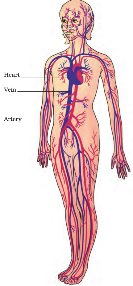 Screenshot from 2021-03-31 17-24-45