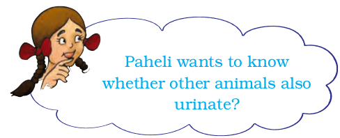 Screenshot from 2021-04-01 15-51-39