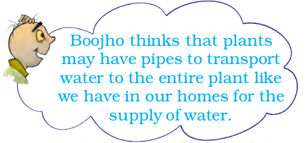 Screenshot from 2021-04-01 15-59-22