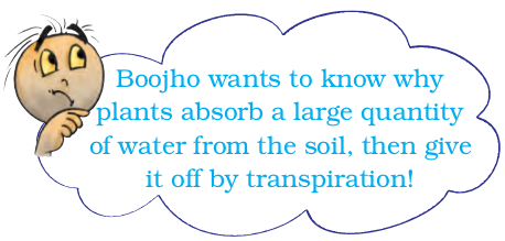 Screenshot from 2021-04-01 16-07-15