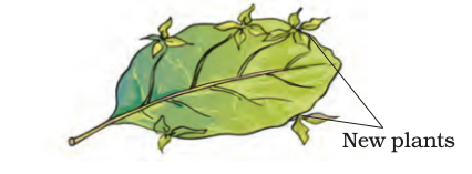 Screenshot from 2021-04-01 16-41-21