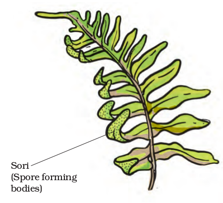 Screenshot from 2021-04-01 16-49-56