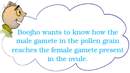 Screenshot from 2021-04-01 16-51-33