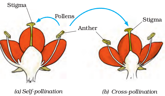 Screenshot from 2021-04-01 16-52-38