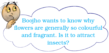 Screenshot from 2021-04-01 16-53-56