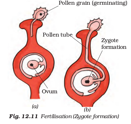 Screenshot from 2021-04-01 16-54-27