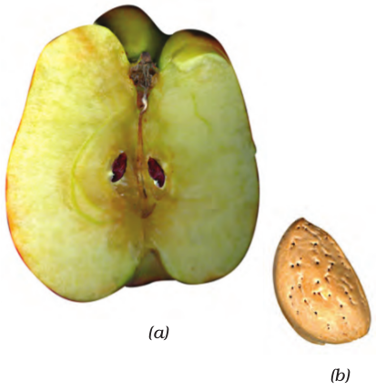 Screenshot from 2021-04-01 16-55-40