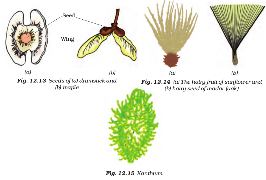 Screenshot from 2021-04-01 16-59-21