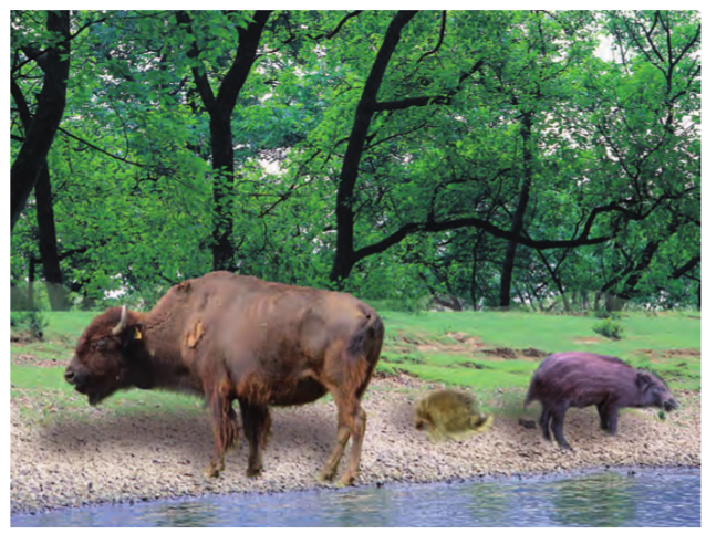 Screenshot from 2021-04-06 13-02-19