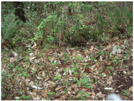 Screenshot from 2021-04-06 14-30-26