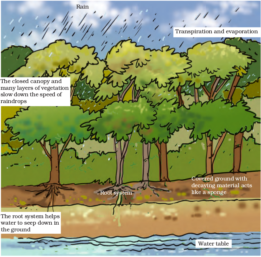 Screenshot from 2021-04-06 15-06-24