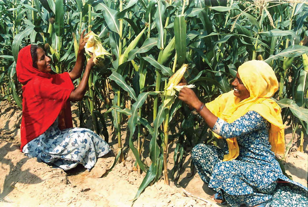 gn-agri.tif