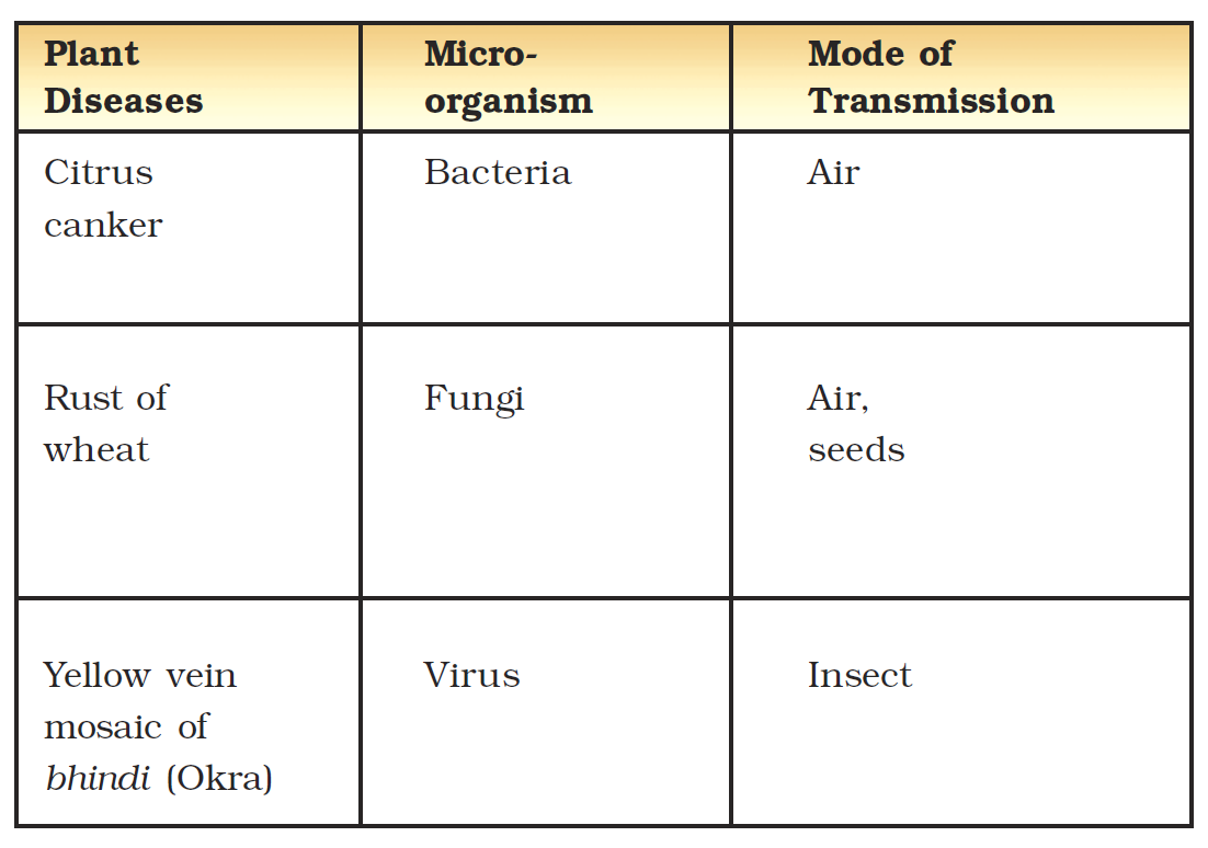 02: Microorganisms: Friend And Foe   Science