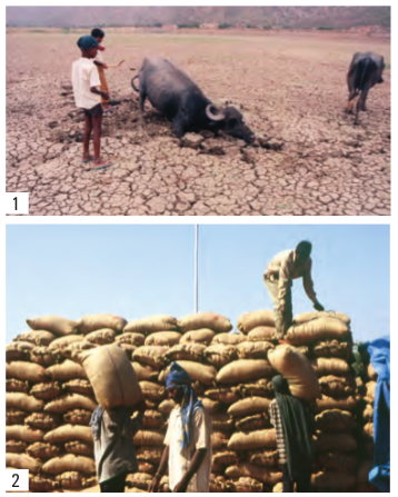 Screenshot from 2020-06-27 12-34-47