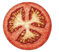204
