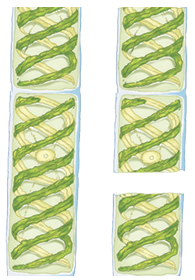 225